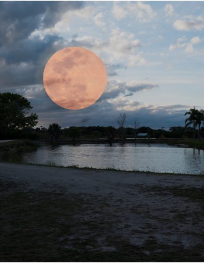 AprMy Favorite PhotosBob MarxRising Full Moon