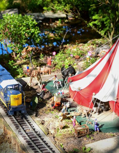 OctBotanic TrainsSue BaronThe Big Top and Trains