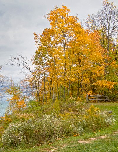 OctFavorite PhotoSheri SparksFall Color by the Lake