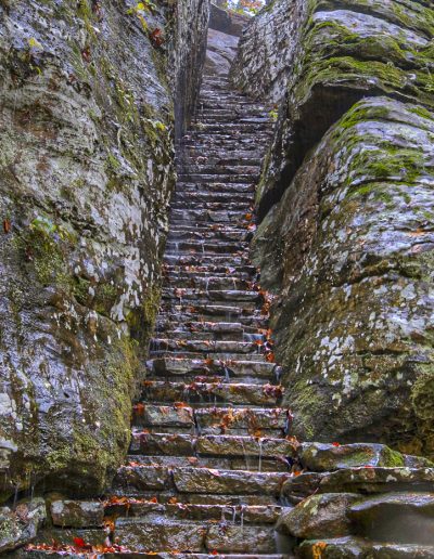 OctFavoriteJohn RouseBell Smith Spring Wet Stone Stairs
