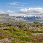 Sheri SparksEnjoying an Iceland Vista