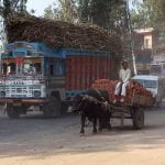Sheri SparksTransporting Goods in India