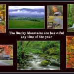 Sheri SparksThe Beauty of the Smoky Mountains
