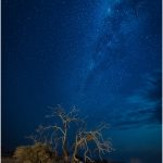 Michael TrahanThe Southern Milky Way 1