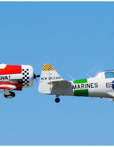 Gary Edwards SNJ 5 Texan and T 6 Texan in formation