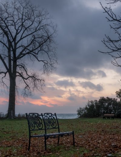 Sue Baron Crisp Sunrise