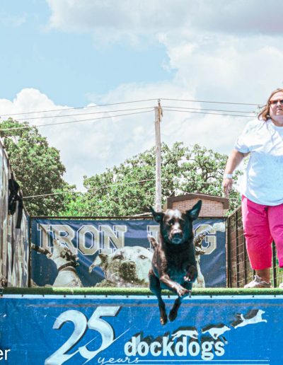 Harold Hauser brown dog jump2 5284