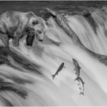 Michael TrahanWhos First