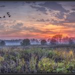 Sue MatsunagaEnd of the Season