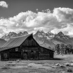 John WilliamsMormon Row Grand Teton NP