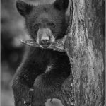 kberkiel@comcast.netA1Hanging out