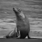 Greg KarpWhat you lookin at