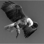 Michael TrahanIm Hungry