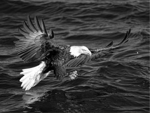 Michael Schmitt Eagles Approach