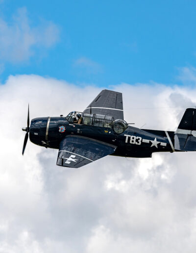 Carl Deal Nice Day To FLy