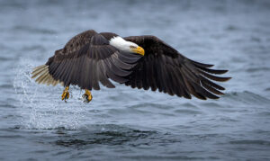 Karolyn Berkiel 02 Grip of Glory CW 8133 Edit 4PS