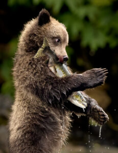 Karolyn Berkiel 03 Little Fishers Big Catch CW 9265 Edit Edit