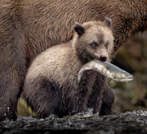 Karolyn Berkiel 04 Cubs First Catch CW 8973 Edit 3 EditPS