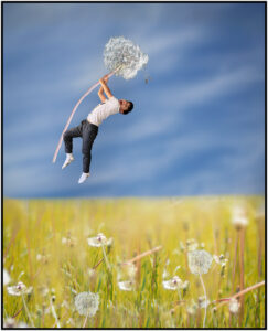 Sue Matsunaga Sue Matsunaga Dandelion Flight