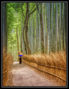 Sue Matsunaga Sue Matsunaga Monk in Bamboo Woods