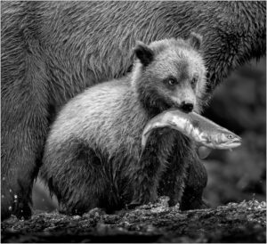 Karolyn Berkiel By my side8973 Edit 3 Editbw