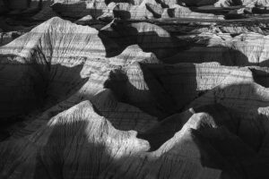 Kimberly Shadduck Sculpted by Shadows