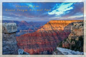 Kimberly Shadduck The Grand Canyon
