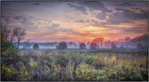 Sue Matsunaga Fog on the Horizon copy