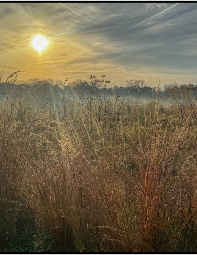 Sue Matsunaga Early Morning Glow