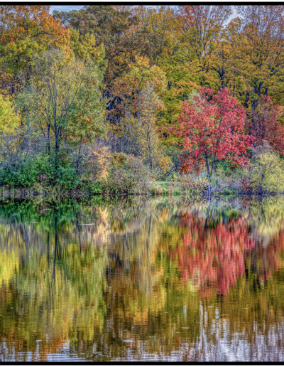 Sue Matsunaga Riot of Colors